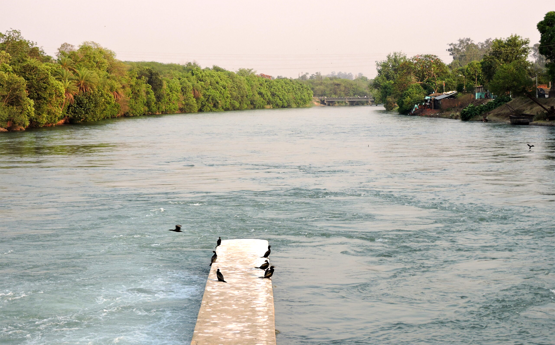 Ropar