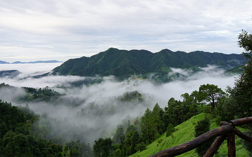 Shoghi