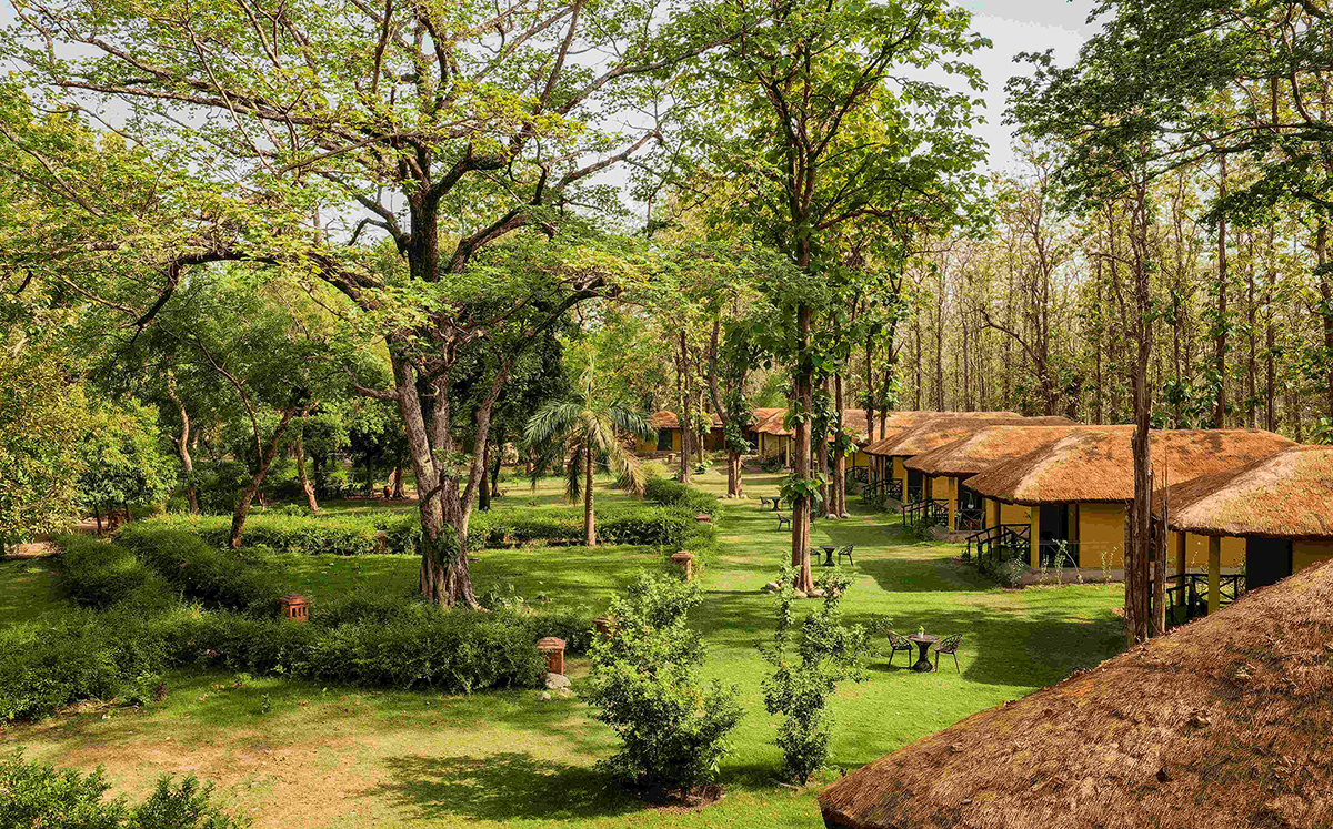 Bijrani Jungle Cottages Experience