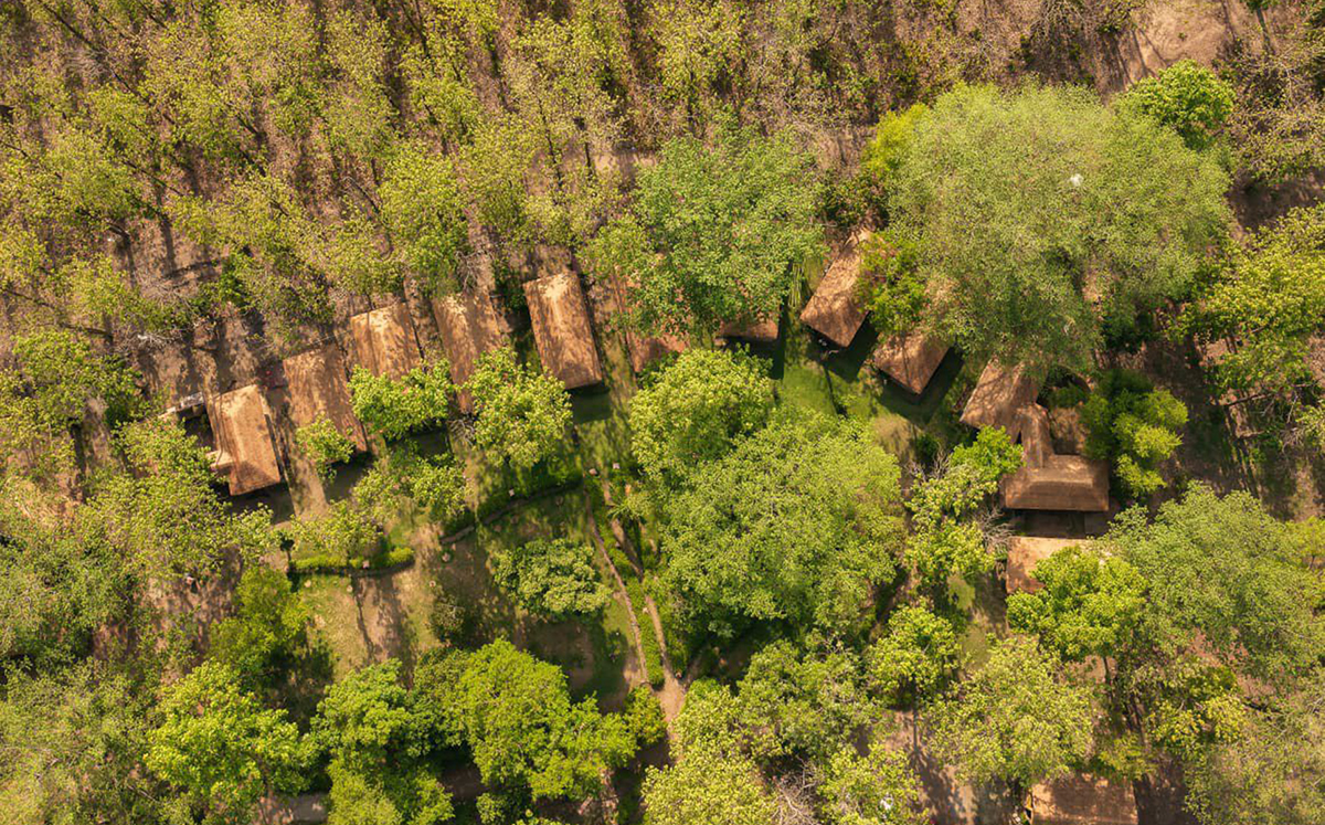 Bijrani Jungle Cottages
