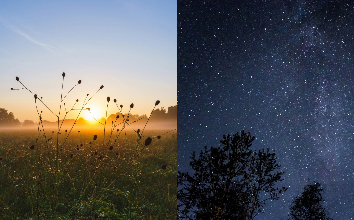 Bijrani Experience You Will Remember Forever